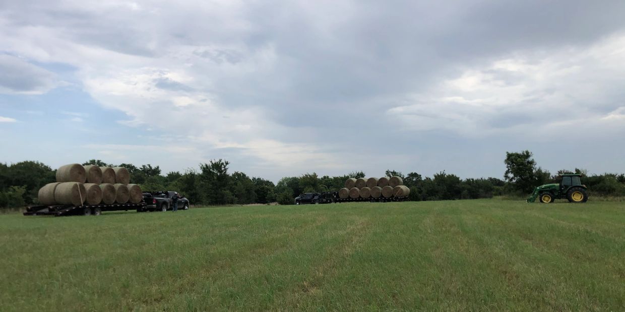 HAY